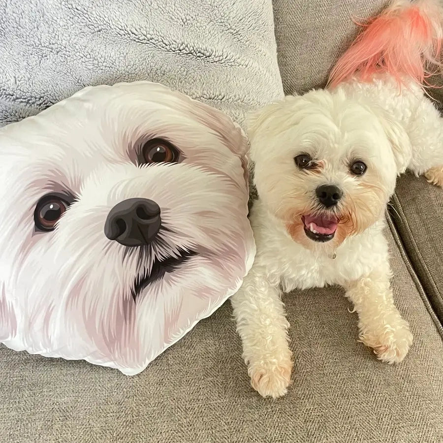 Custom pet-shaped pillow, personalized plush gift for pet lovers.